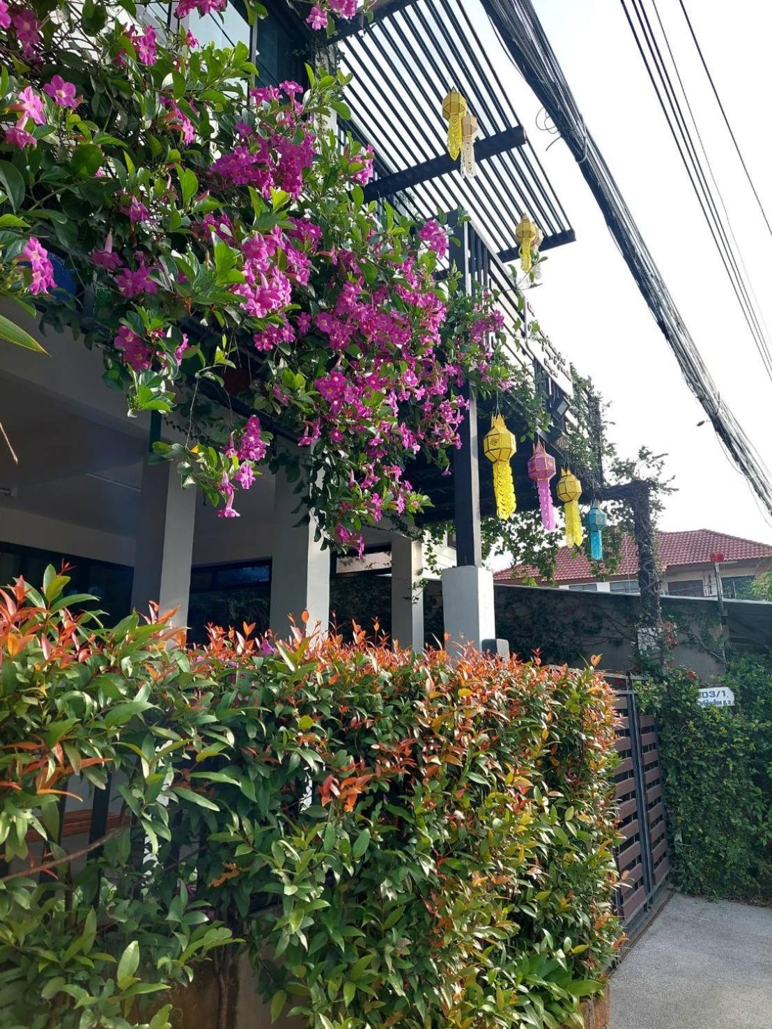 Ld8 House Private Pool Perfect Groups -Families Chiangmai Villa Chiang Mai Exterior photo